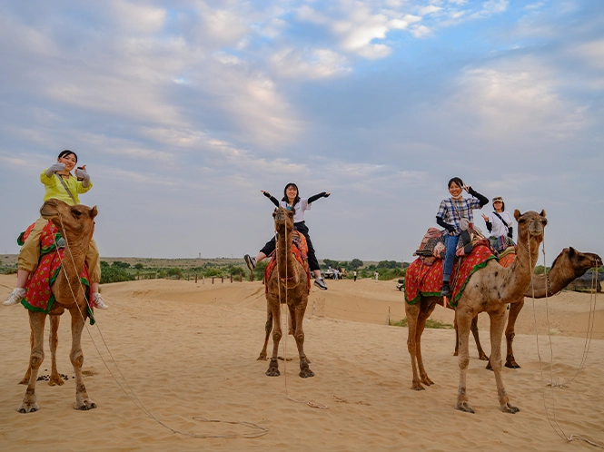 Camel Sunset Safari